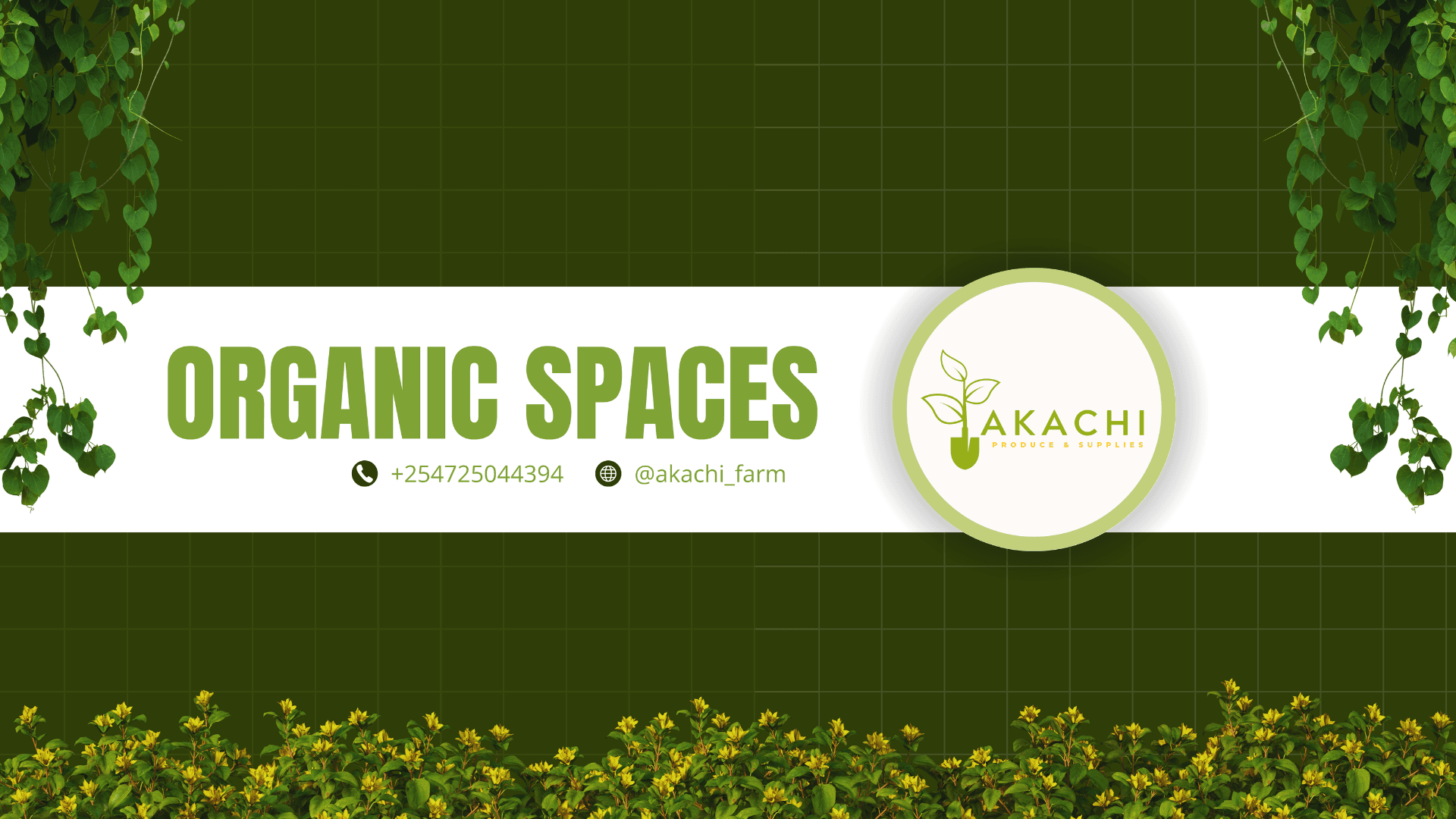 Akachi produce & Supplies tree nursery in Siaya County